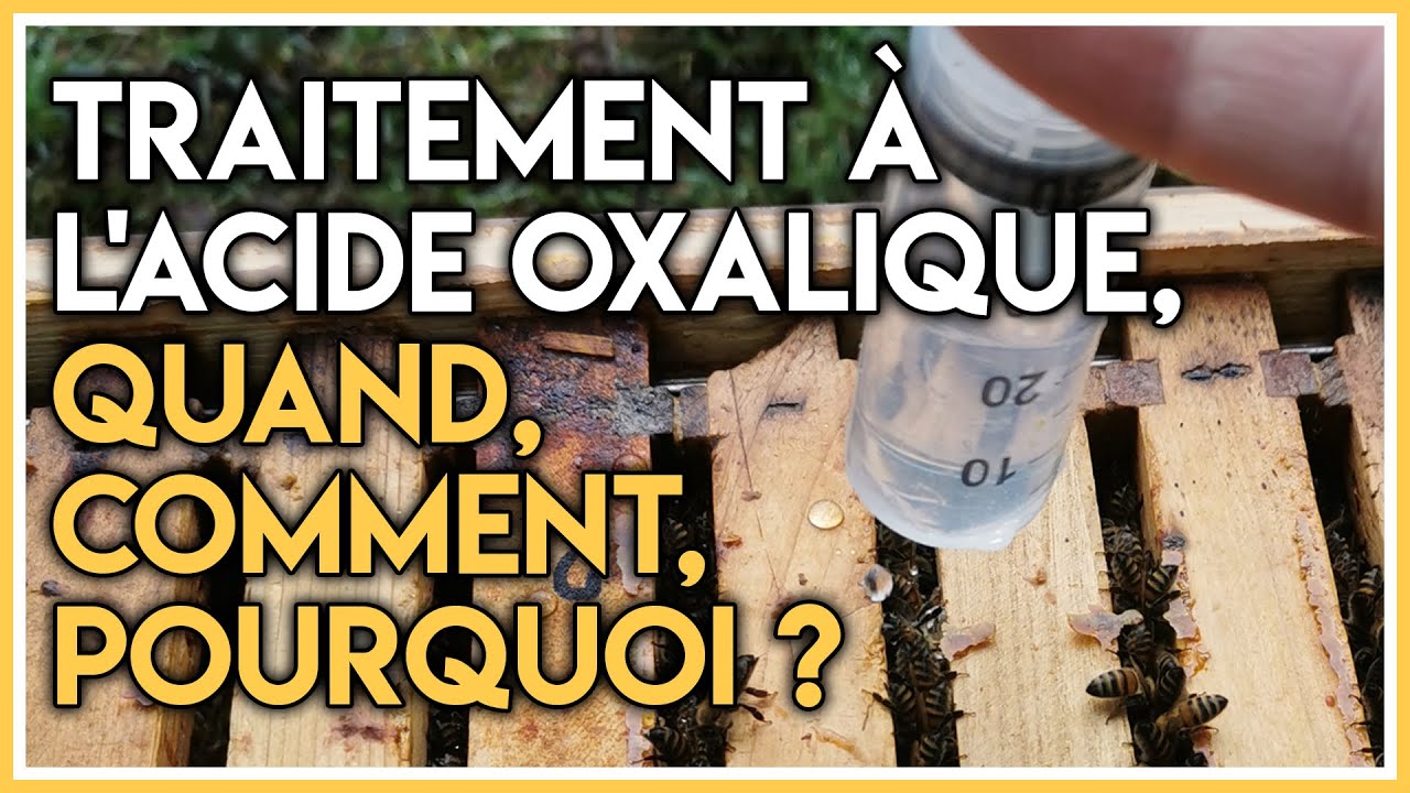 Traitement à l'acide oxalique, quand, comment, pourquoi ?