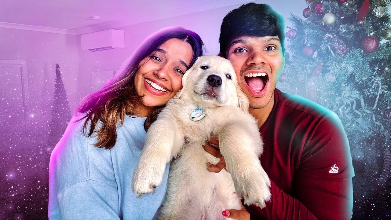 Did We Get A Dog 😱 සිංහල vlog  | Yash and Hass