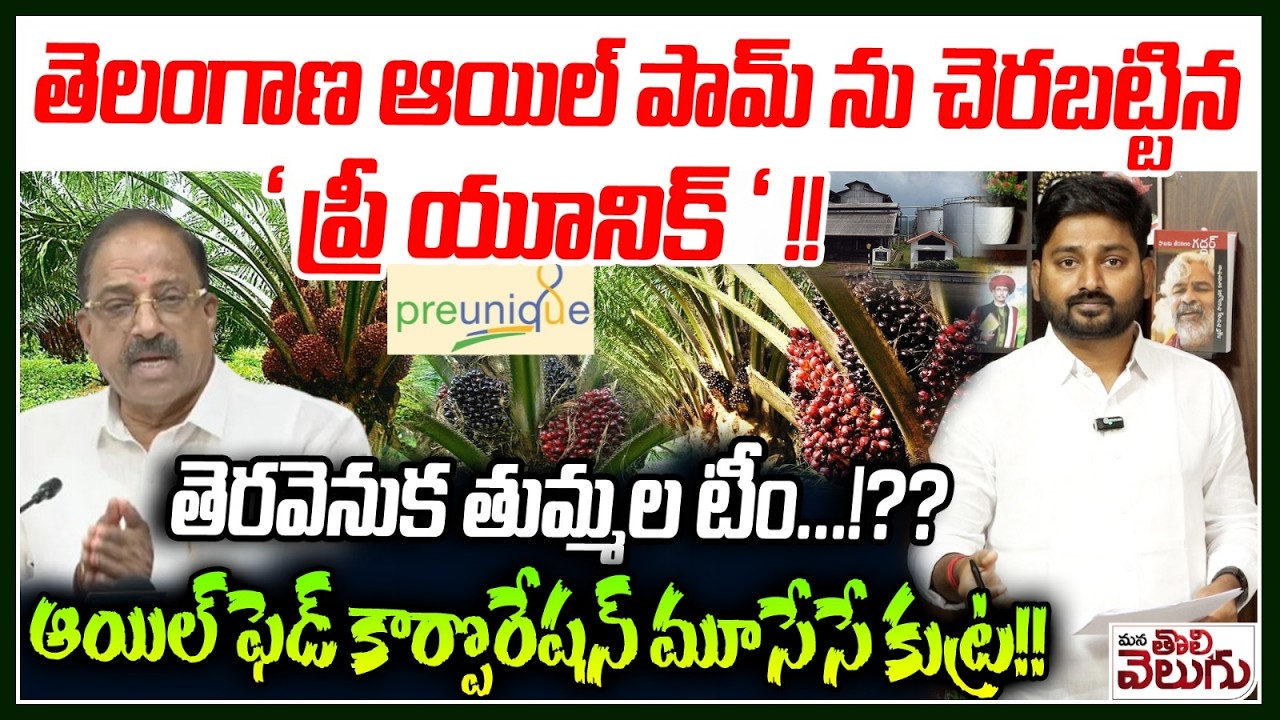 Pre Unique Oil Palm Scam : తెలంగాణ ఆయిల్ పామ్ ను చెరబట్టిన ‘ ప్రీ యూనిక్ ‘ !!తెరవెనుక తుమ్మల టీం….!?