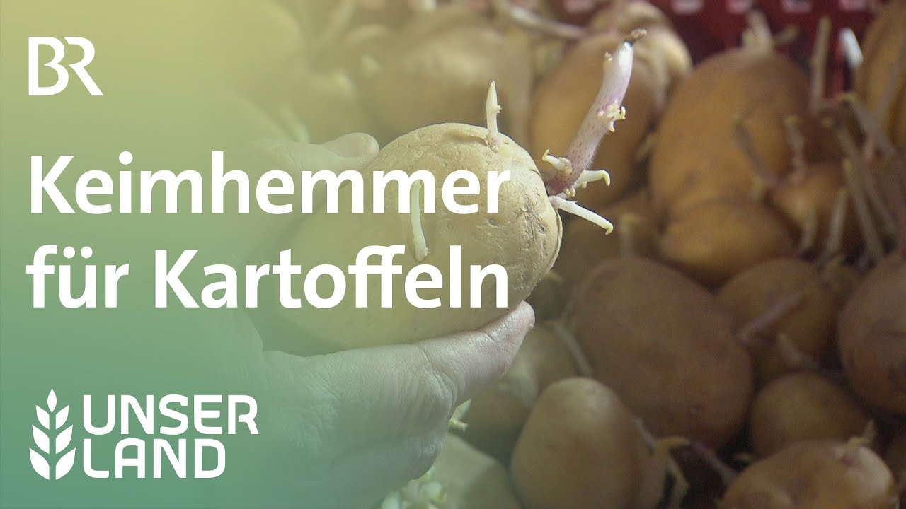 Keimhemmer für Kartoffeln | Unser Land | BR Fernsehen