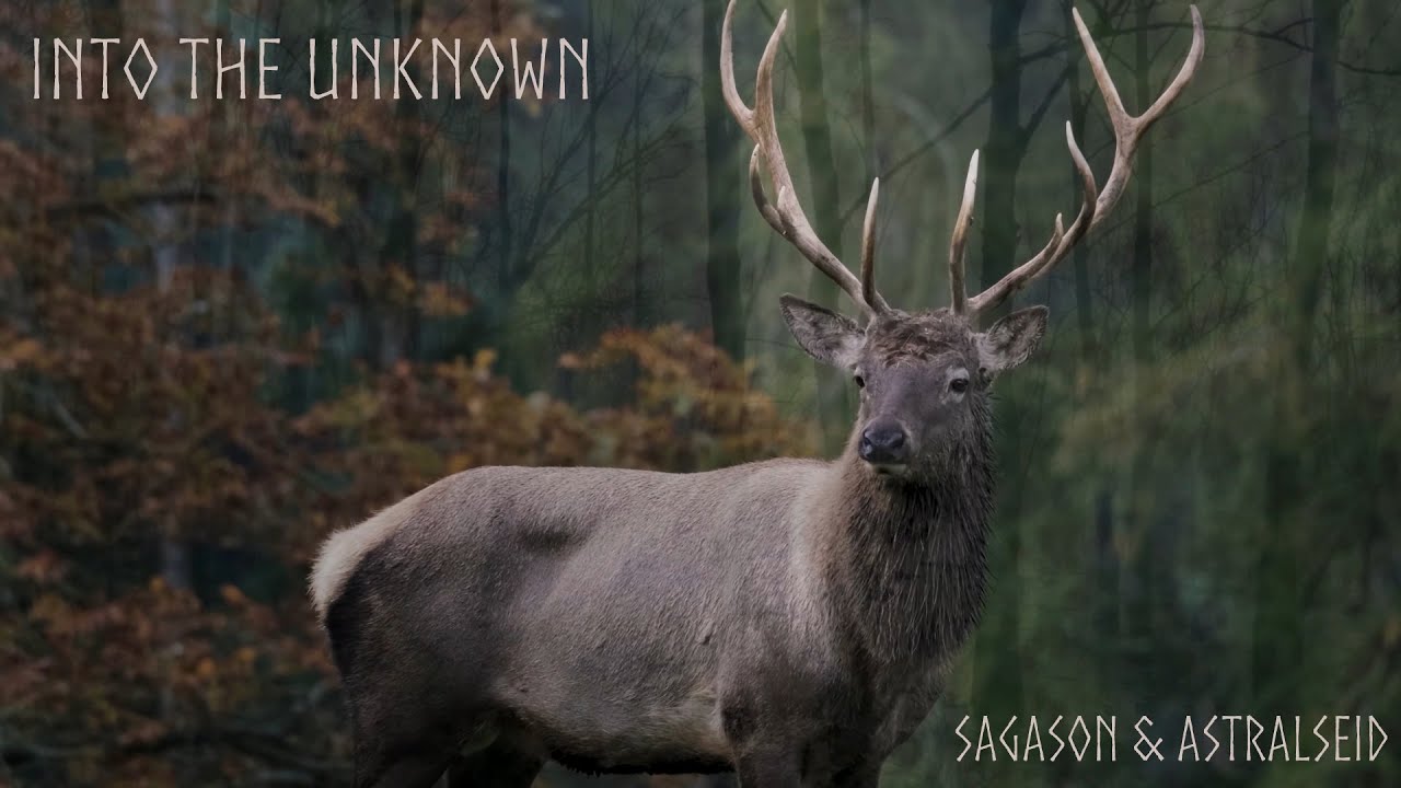 Sagason & Astralseid - Into the Unknown