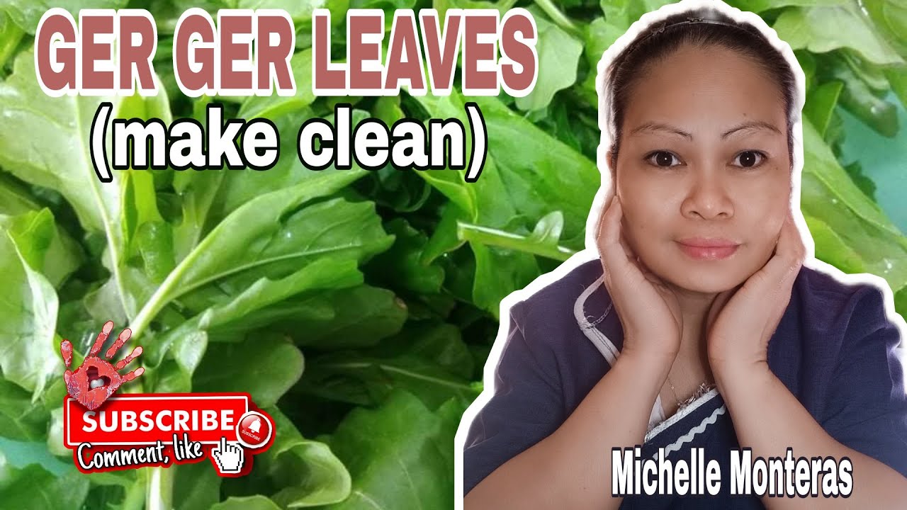 GER GER LEAVES ( MAKE CLEAN)/MICHELLE MONTERAS