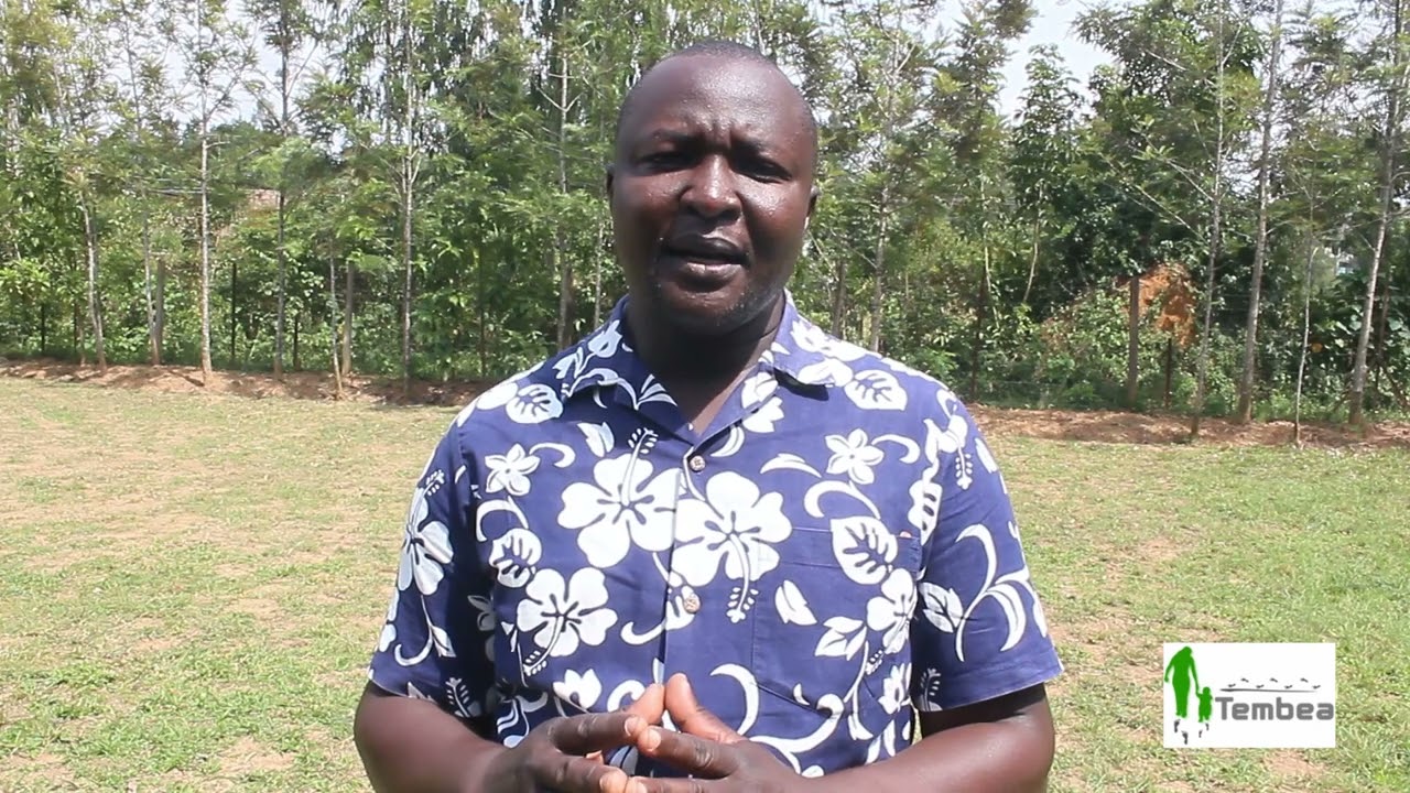 Any attempts to extend Kenyan Presidential Term Limit is unacceptable.