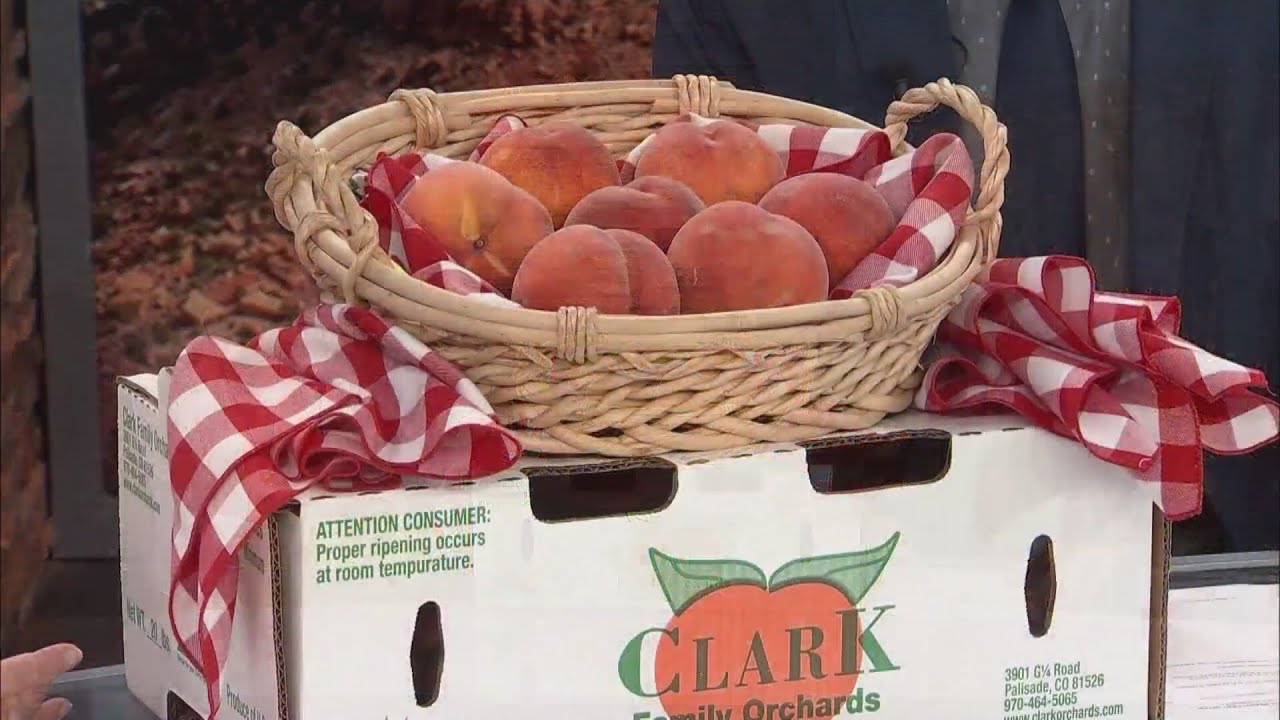 Peach Days activities start this week in Palisade!