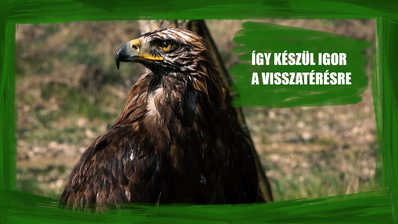 FM | Meglátogattuk a Fradi-sast | 2021.04.07.