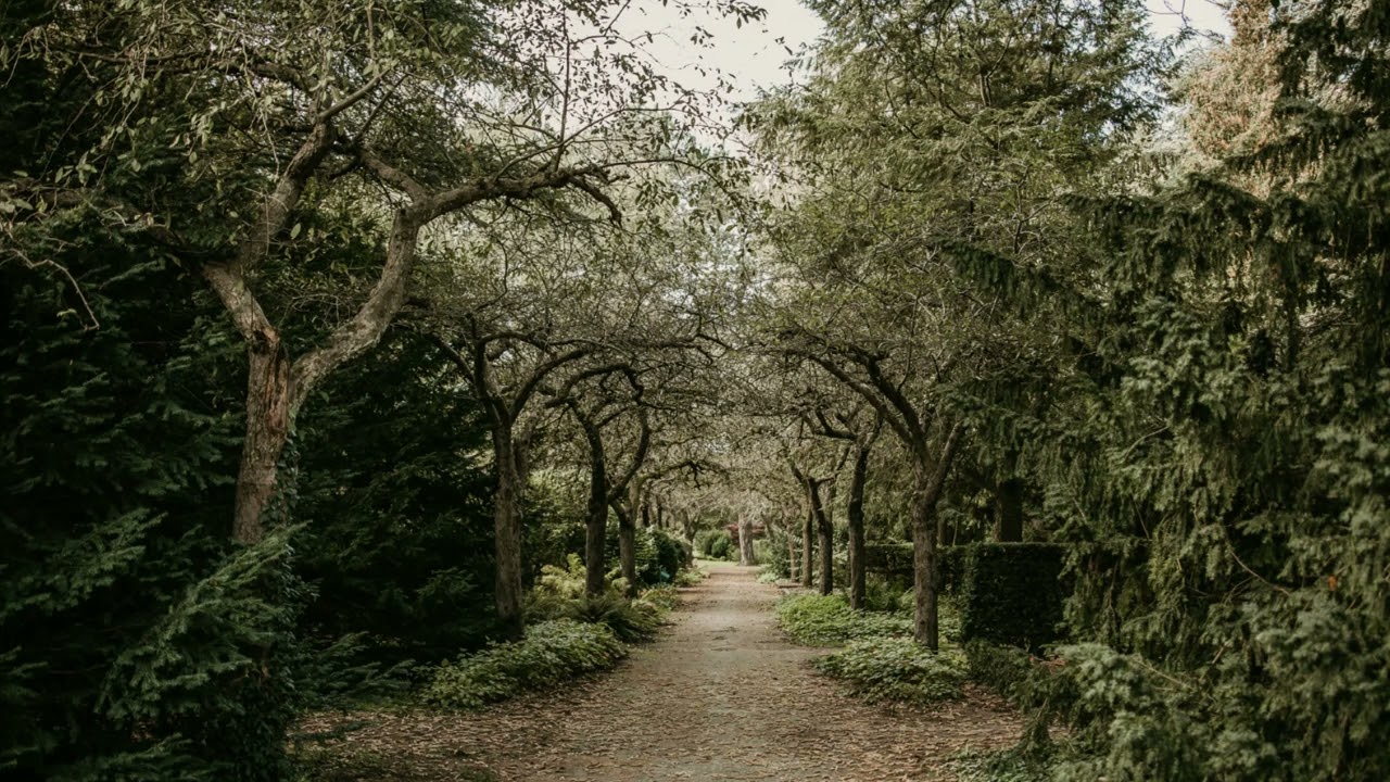 Zamiast (Edyta Geppert smule cover)