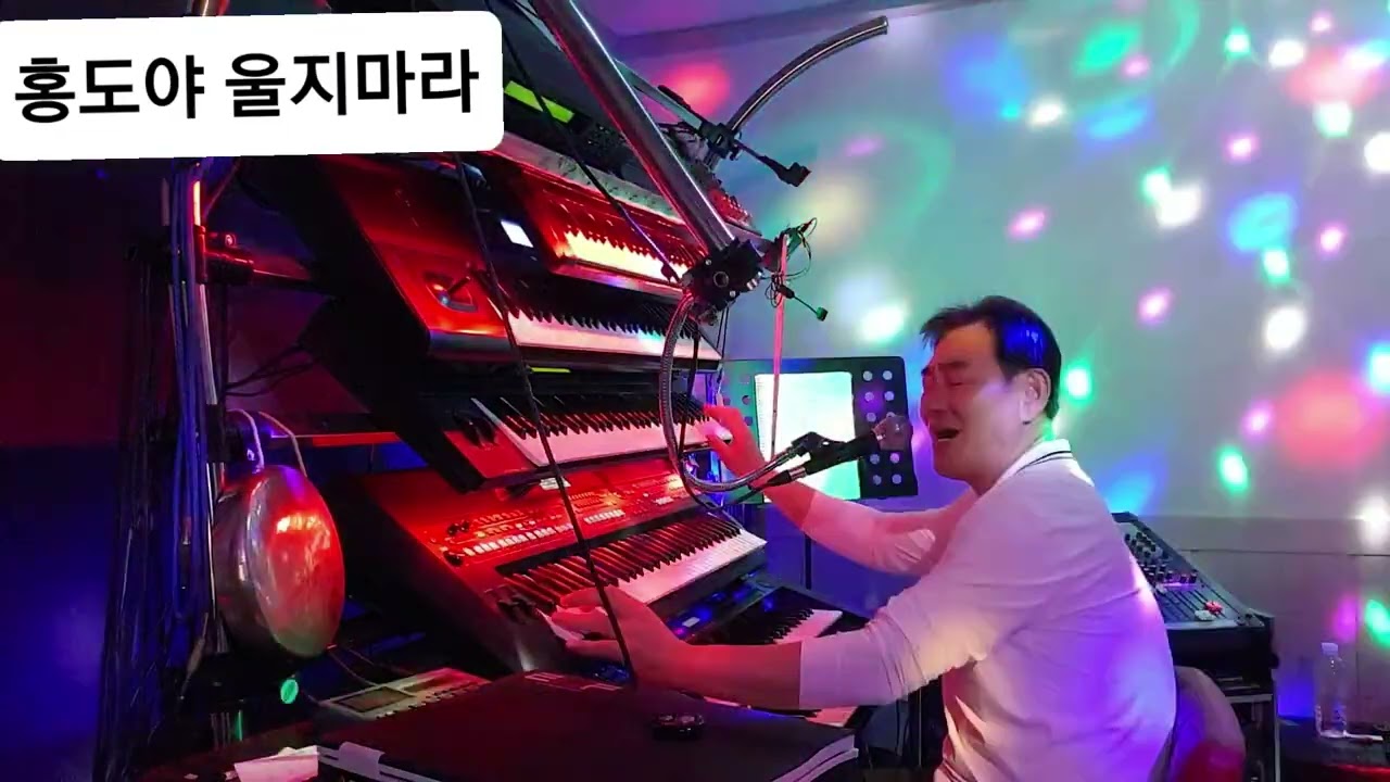 홍도야 울지마라