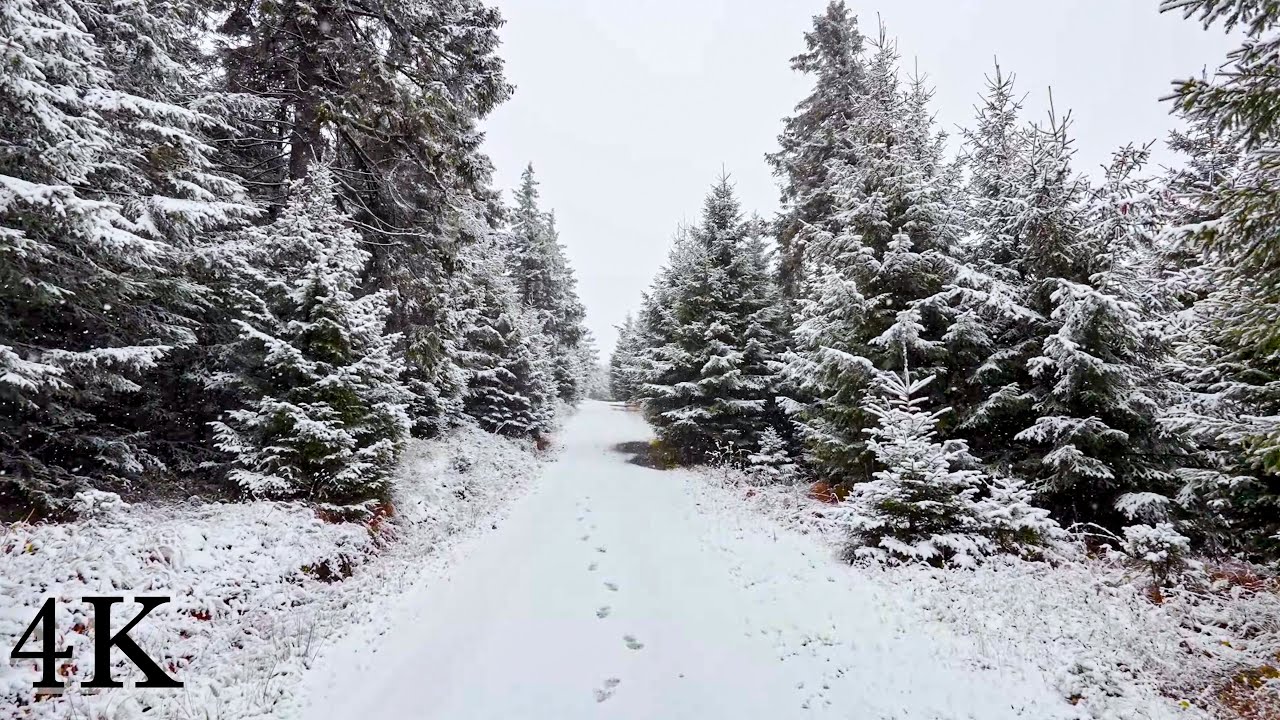 FIRST SNOWFALL on the Fichtelberg in the Ore Mountains, Hiking in Heavy Snowfall 4K