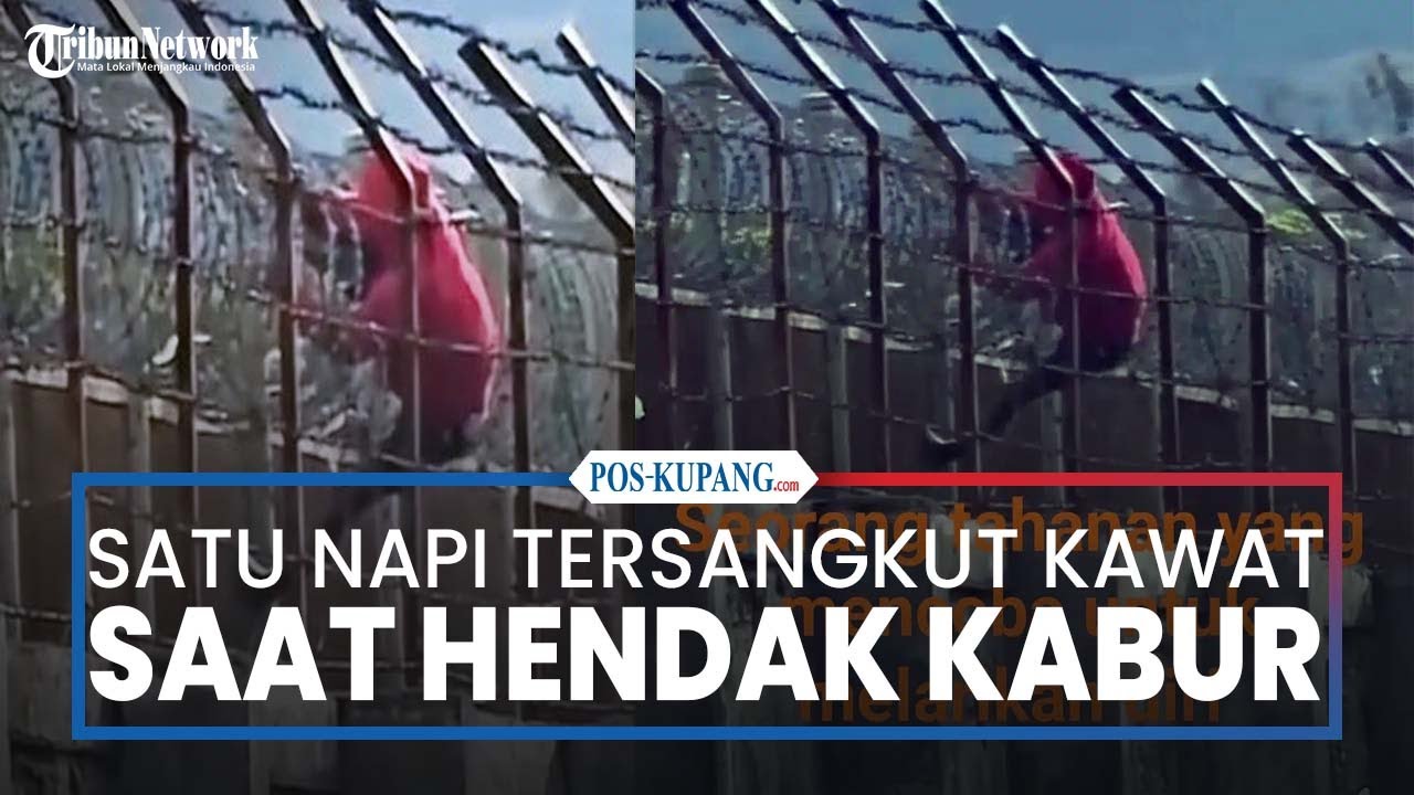 Satu Diantara Tujuh Napi Lapas Kelas II B Wamena Tersangkut Kawat saat Hendak Kabur