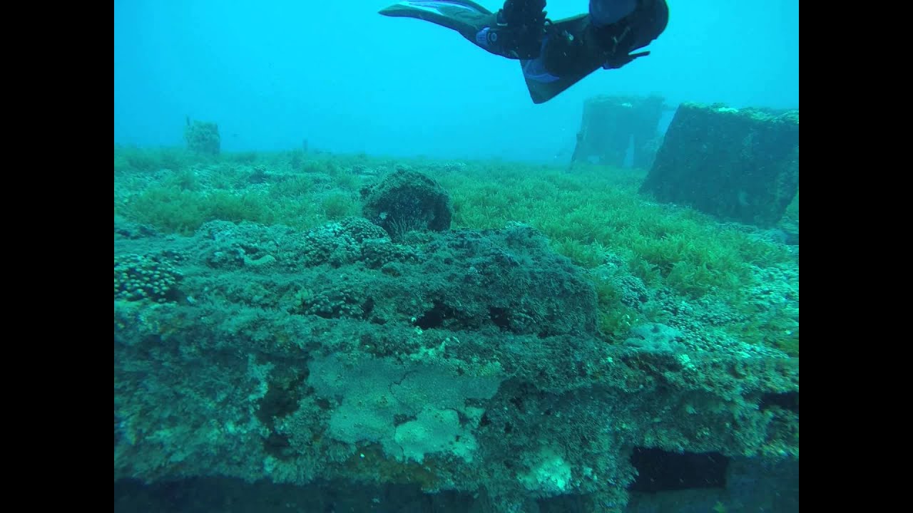 second dive