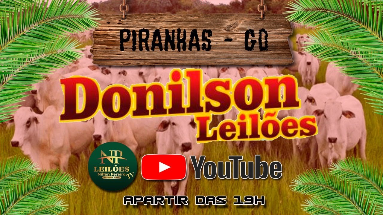 DONILSON LEILÕES - PIRANHAS GOIAS 04/03/2026