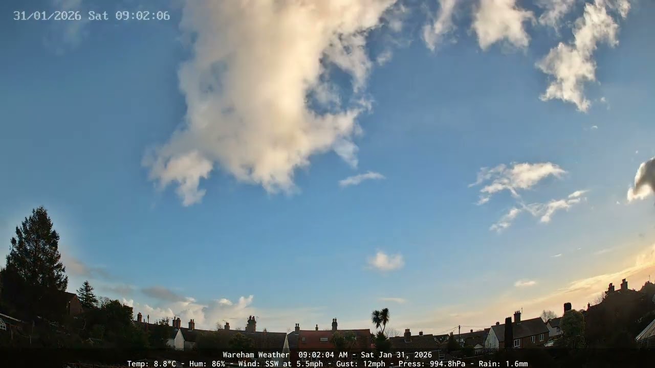 Wareham - Daily Time-lapse - 31/01/2026