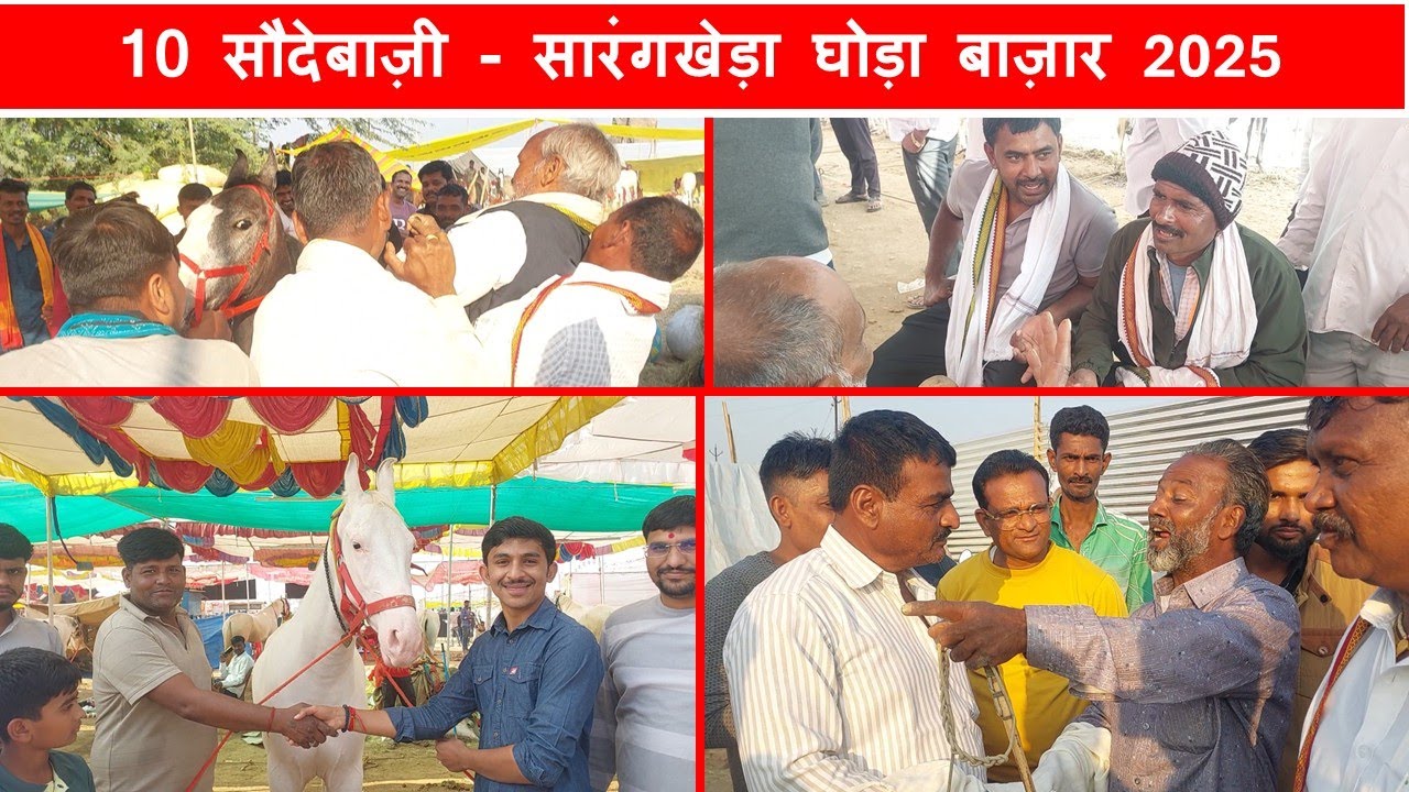 सारंगखेड़ा में आज जो हुआ… कैमरा भी हिल गया! 😳🔥घोड़े की सौदेबाजी  Sarangkheda Horse Market Mela 2025