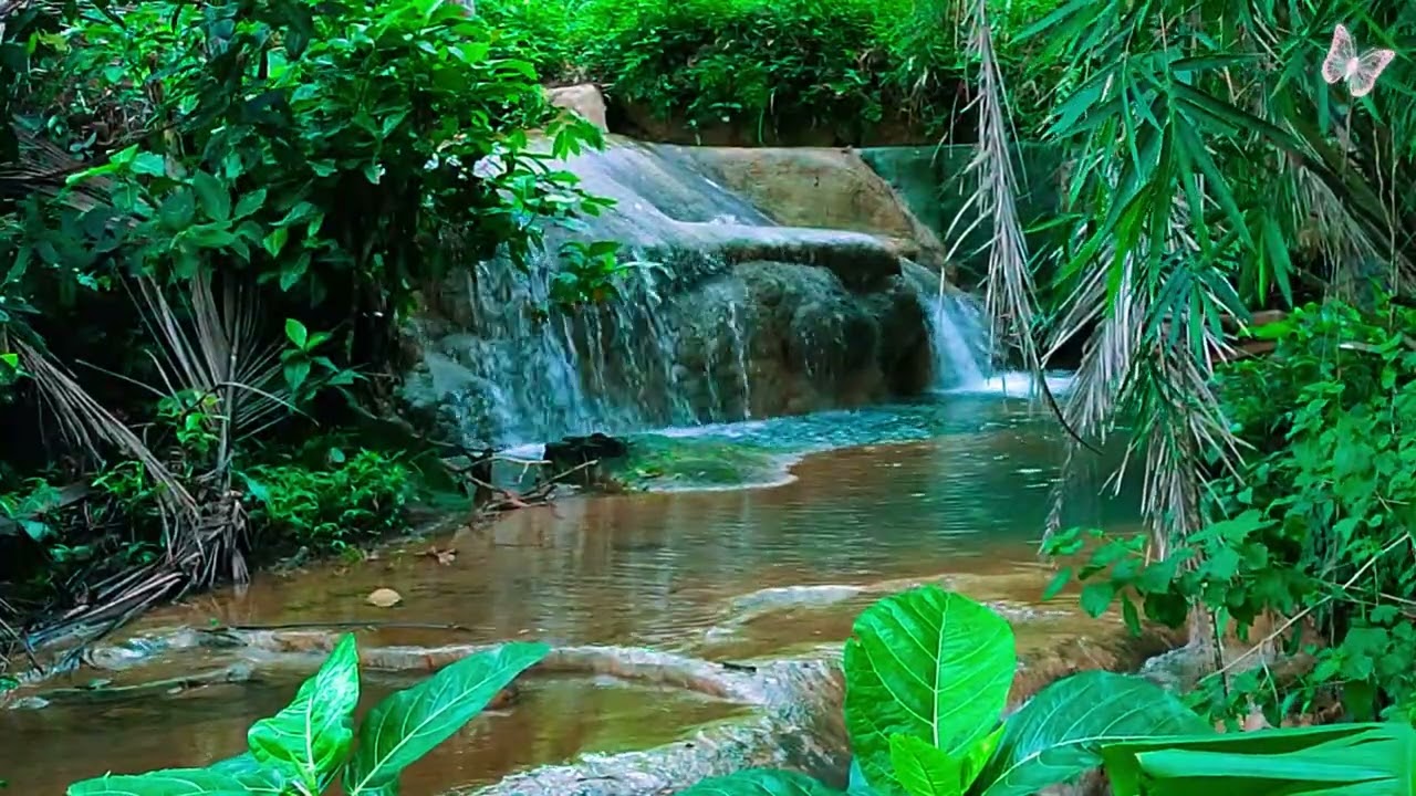 Relaxing Music For Stress Relief, Anxiety and Depressive States🌲 Heal Mind, Body and Soul Calm 95