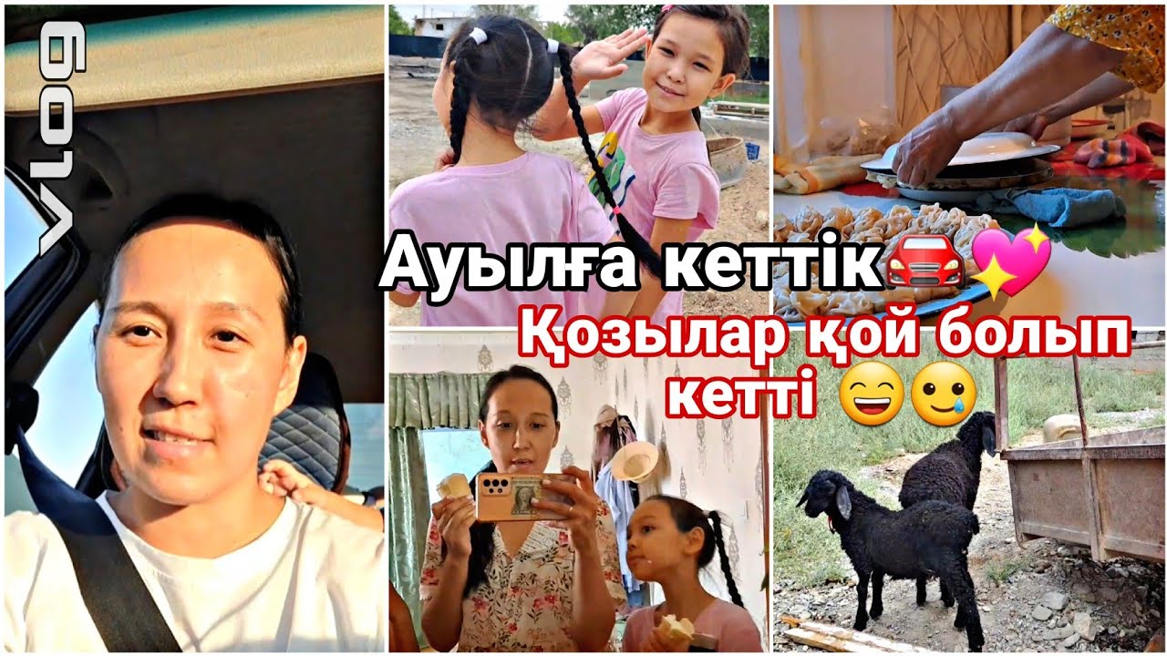 Влог/Ауылға кеттік🚘💖/Қозылар қой болып кетті😄🥲#влог