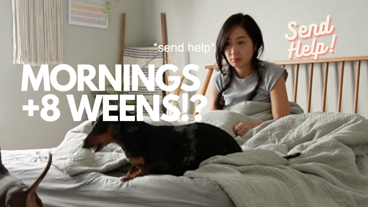 FULL MORNING ROUTINE WITH 8 WEENS.