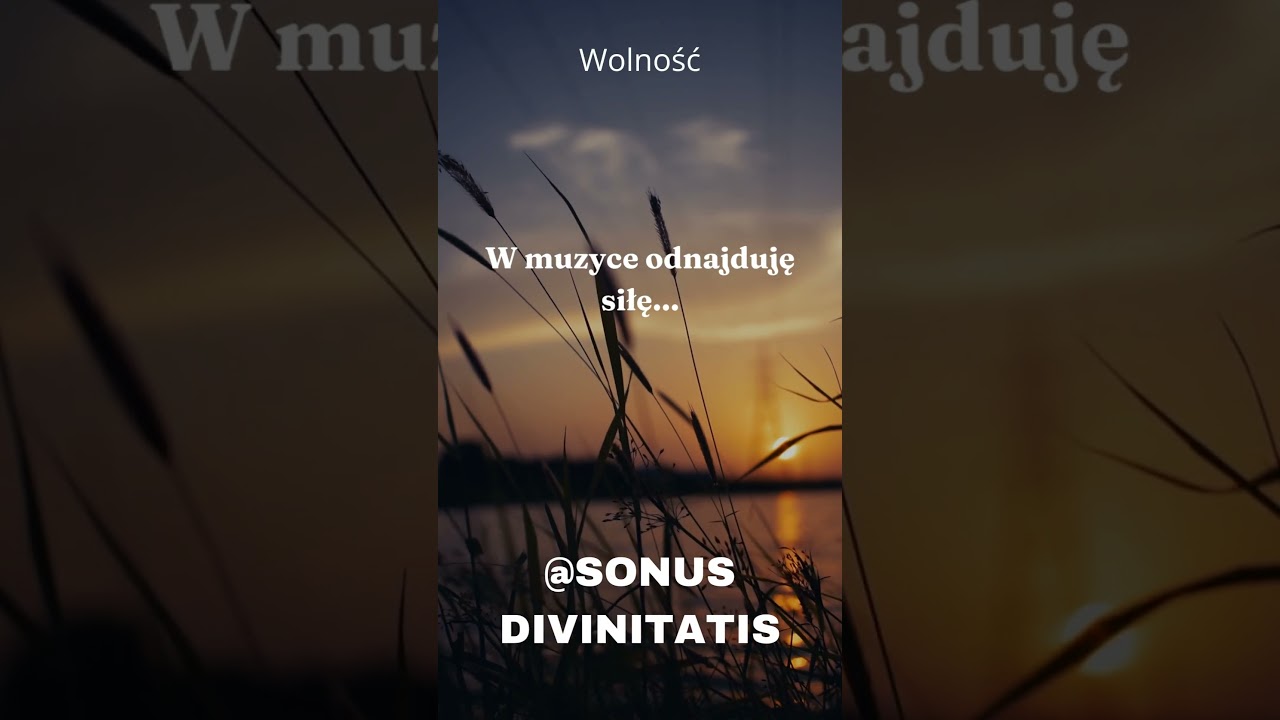 #shorts Nuta Siły. Motywacja autor&oacute;w i muzyk&oacute;w- Sonus Divinitatis nr.37