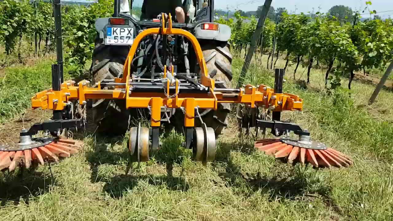 Desbrozadora interfilas ECOROW/D de BERTI