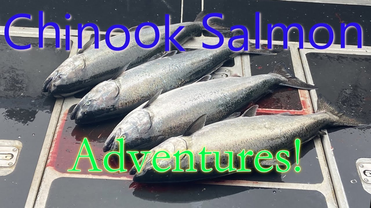 2023 Port Renfrew Salmon Fishing Day Two!