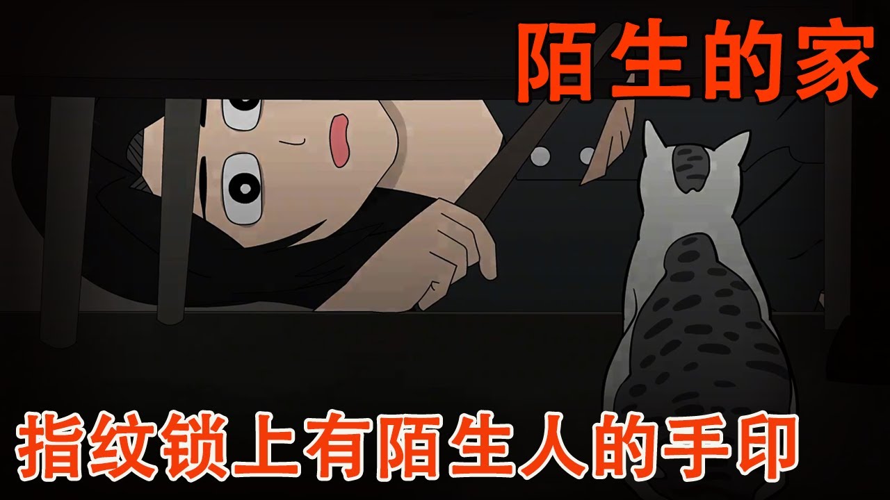 【细思极恐系列丨陌生的家】门上的指纹锁出现男人手印！我怀着忐忑的心情打开了门，下一秒马上拨通了报警电话！【麻吉先生】