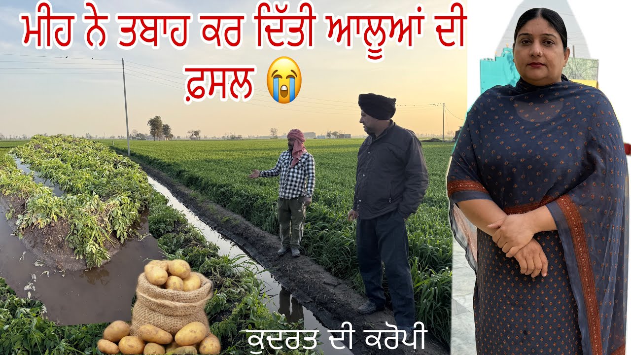ਰੱਬ ਦੀ ਮਾਰ ਏਨੀ ਮਾੜੀ ਕਿਸਮਤ ਬਹੁਤ ਨੁਕਸਾਨ ਹੋ ਗਿਆ 😰 Manjit kular vlogs 