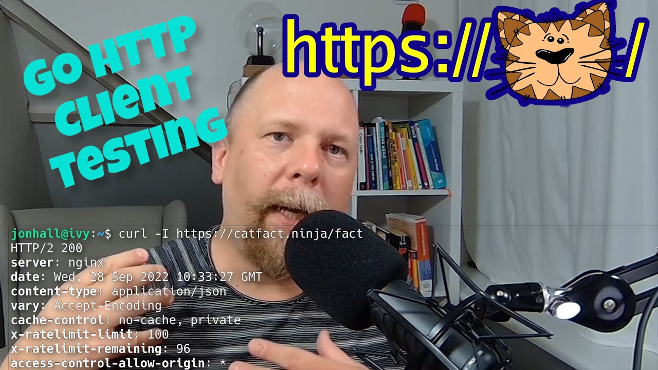 How to test your Go HTTP client: Two approaches