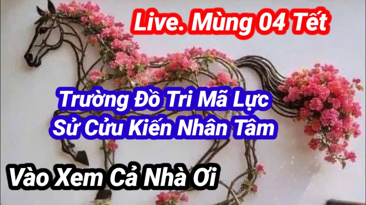 Phước Nghiêm 20-02 Đường Xa Biết Sức Ngựa . Chuyện Hay Bắt Đầu