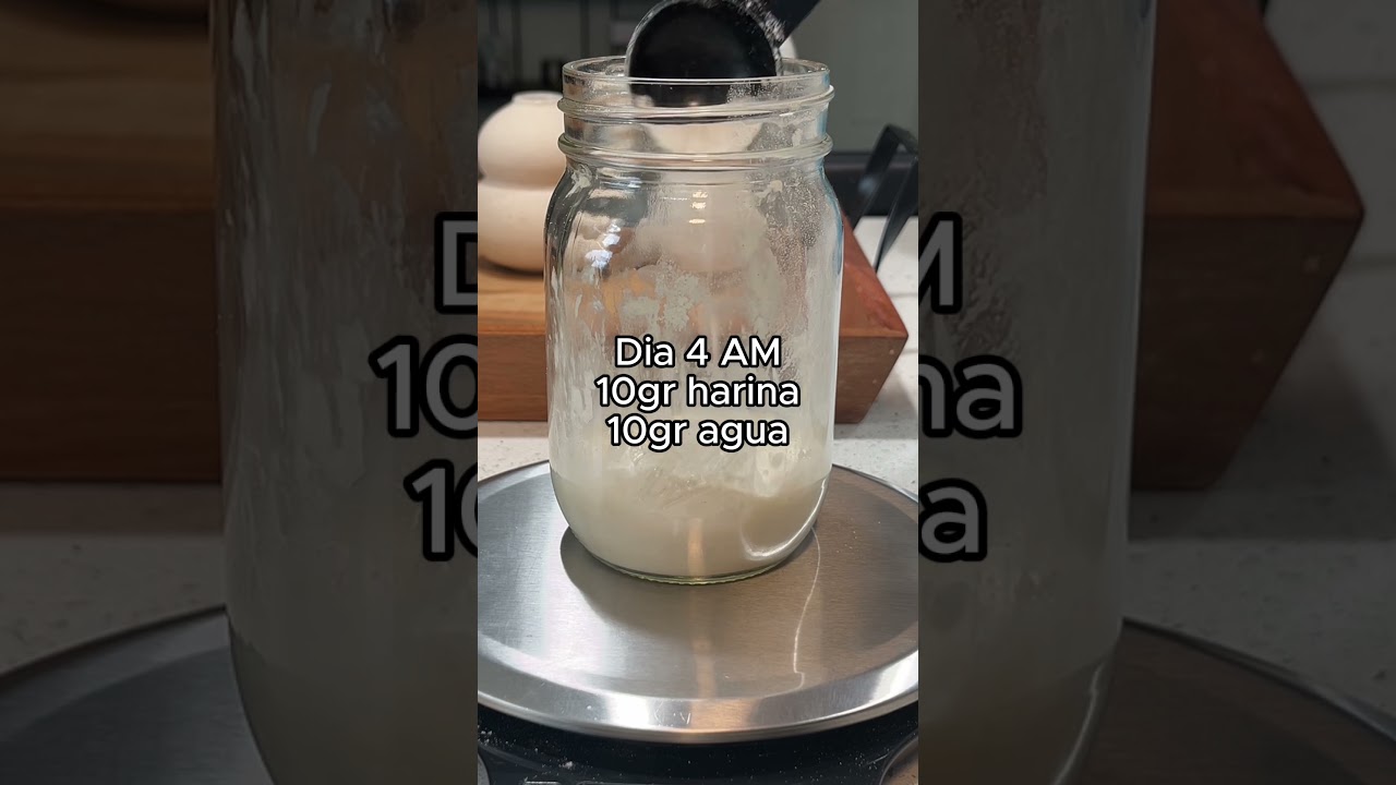 Masa Madre desde Cero