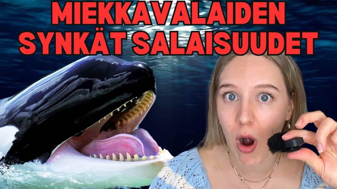 MIEKKAVALAIDEN SYNKÄT SALAISUUDET