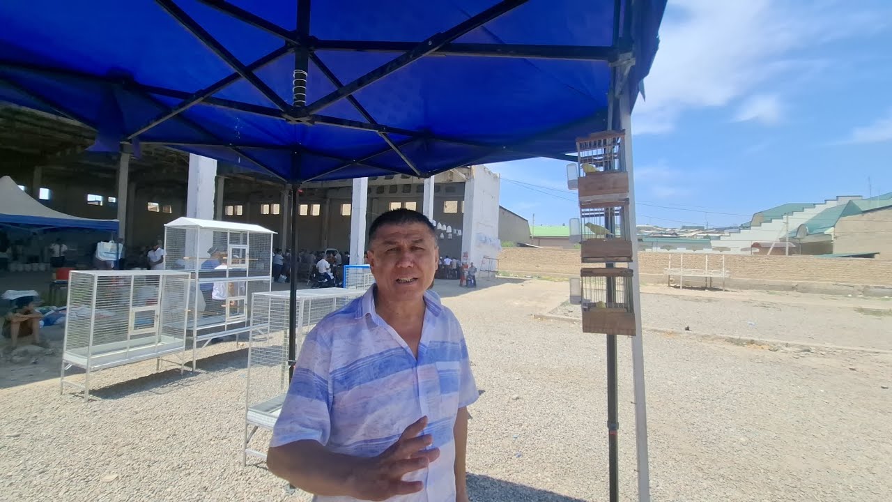 Namangan RMK kanareyka bozori qush bozori 