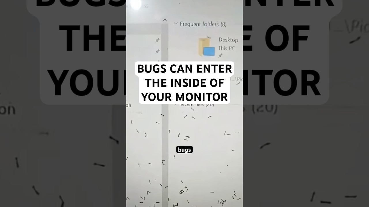 Насекомые могут легко проникнуть в ваш монитор