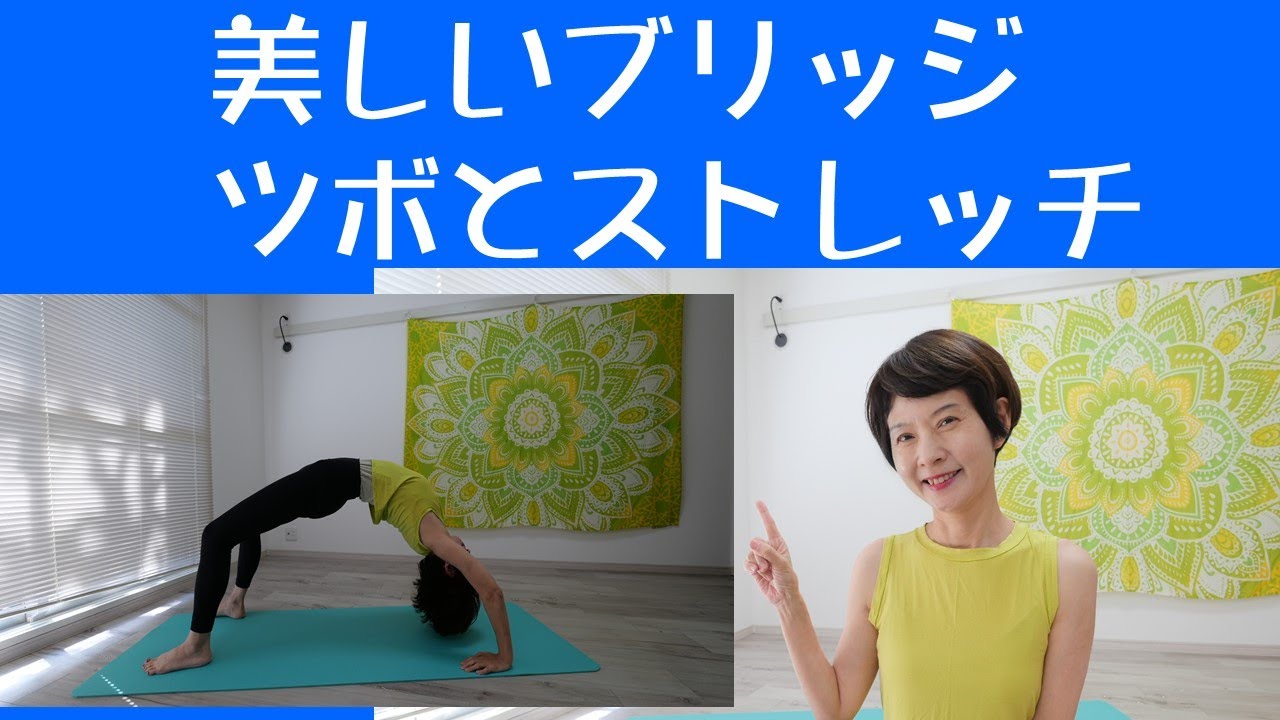 美しいブリッジ ・ツボとストレッチ #110