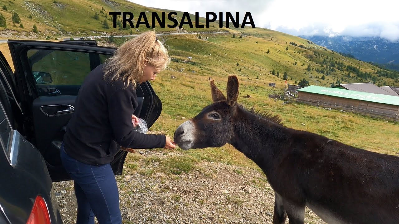 #4 RUMUNIA2023/ Transalpina, przejazd samochodem