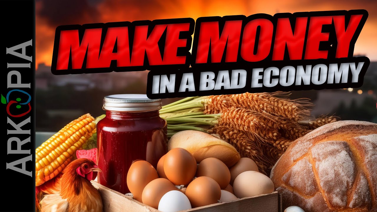💰101 Business Ideas in a Bad Economy - Recession, Depression, Inflation, Trade War, Collapse, or WW3