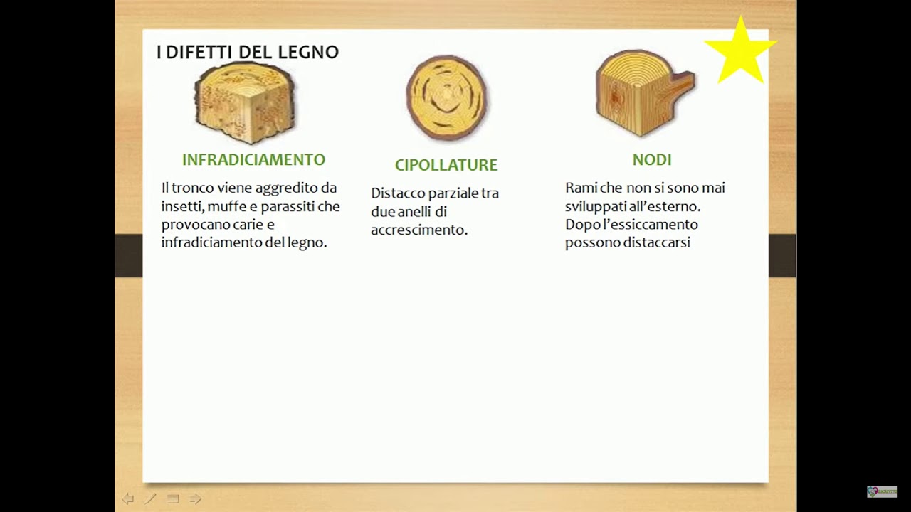3   LEGNO   DIFETTI DEL LEGNO