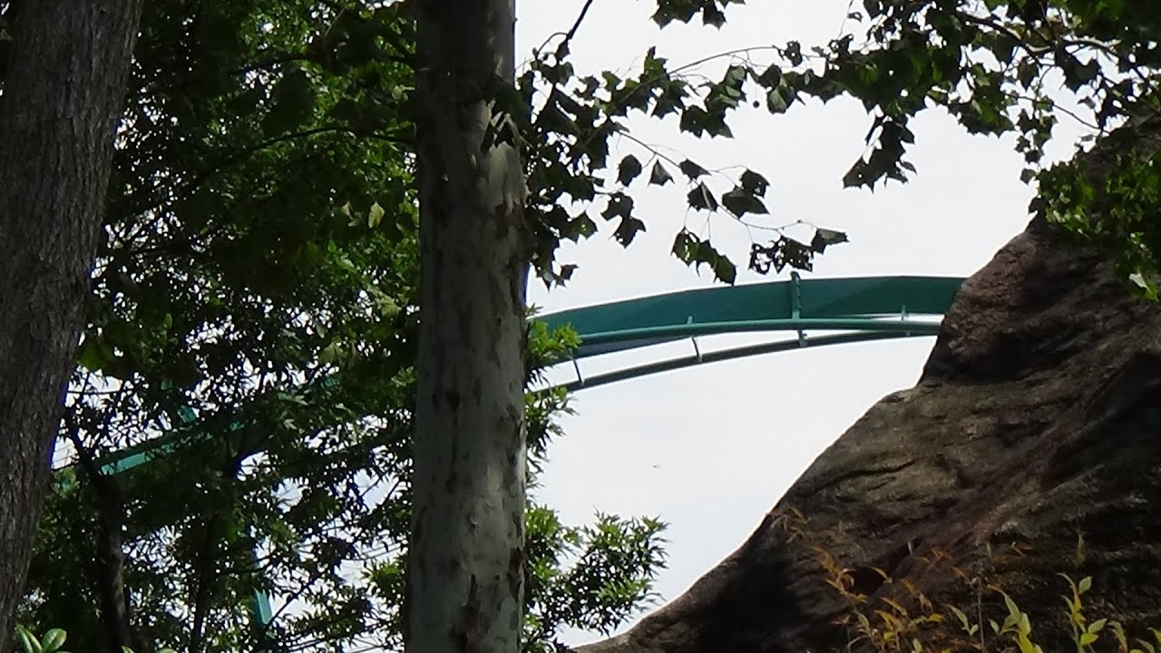 Rapterra construction (March-September)