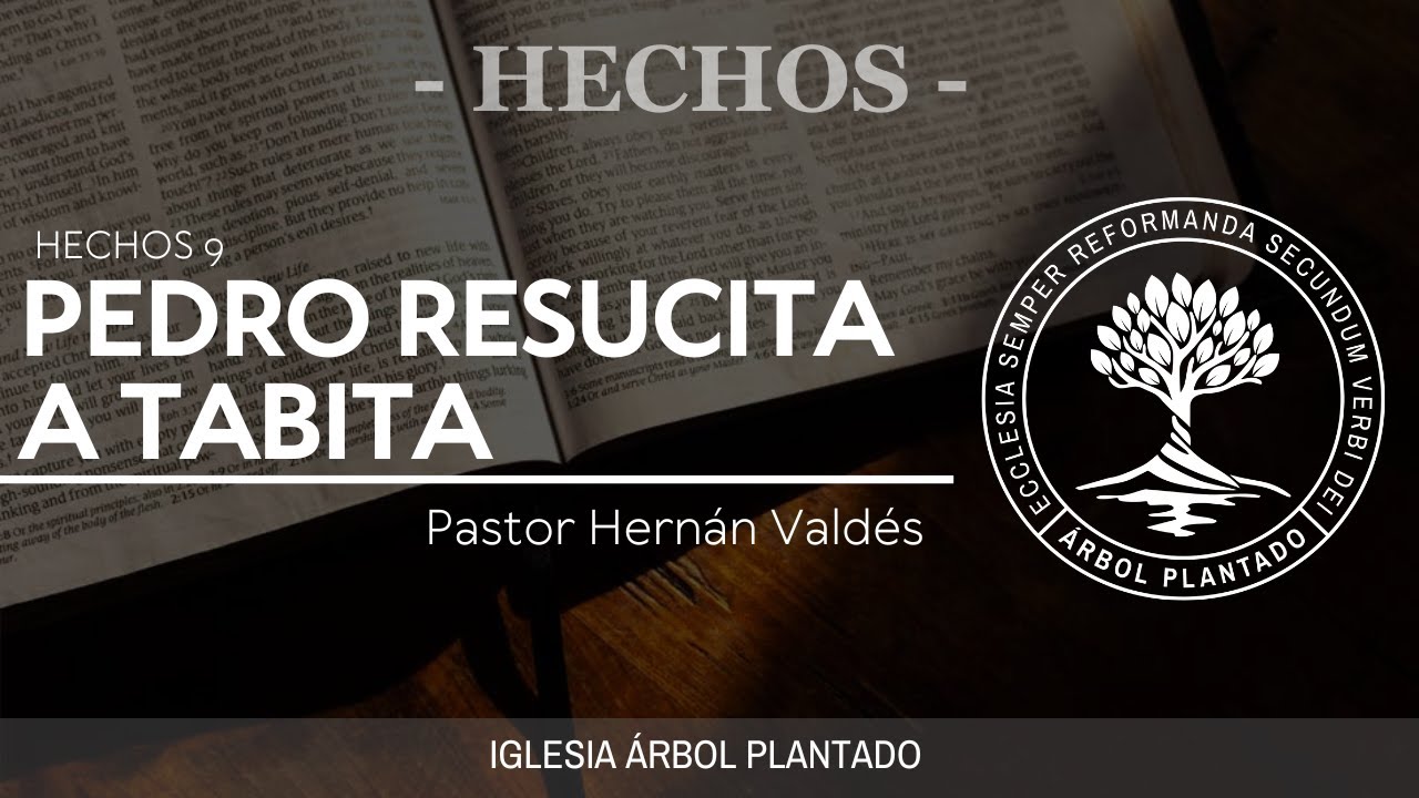 54 - Pedro resucita a Tabita ( Hechos 9 )