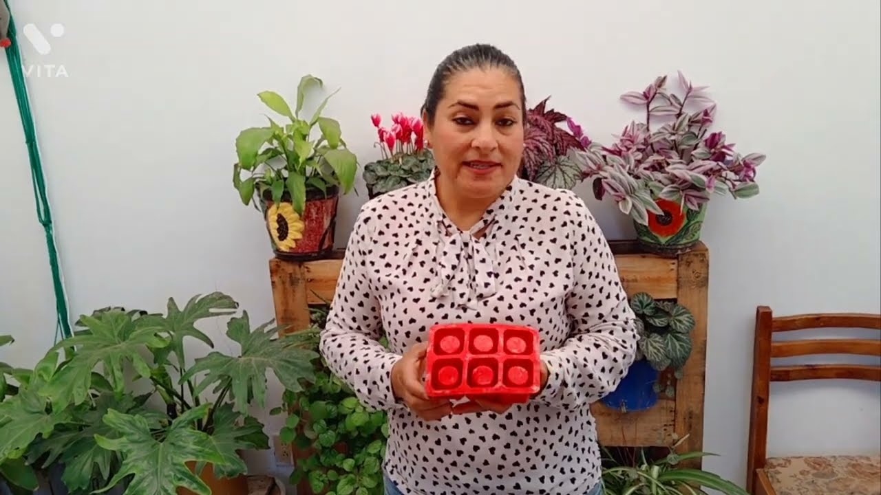 Cómo Hacer Macetas con Cemento y Yeso// Para Arreglos Suculentos☺️