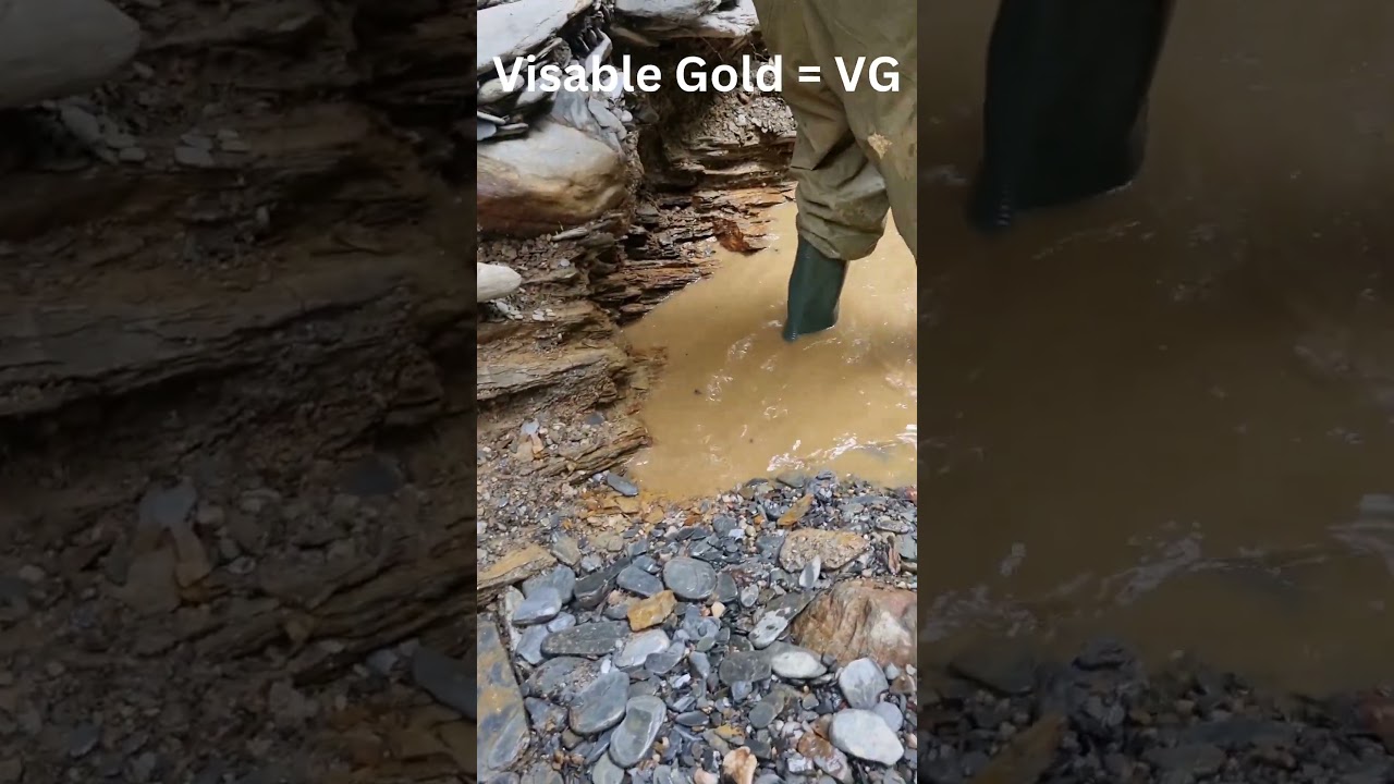 Visible Gold = VG! #goldprospecting #goldnuggets #goldpanning #goldrush
