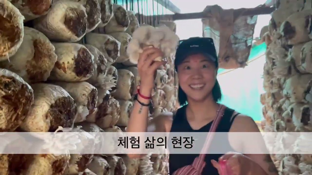 🇳🇵치트완 2~3일 차🏔️포카라 입성🚐로컬마이크로밴😵