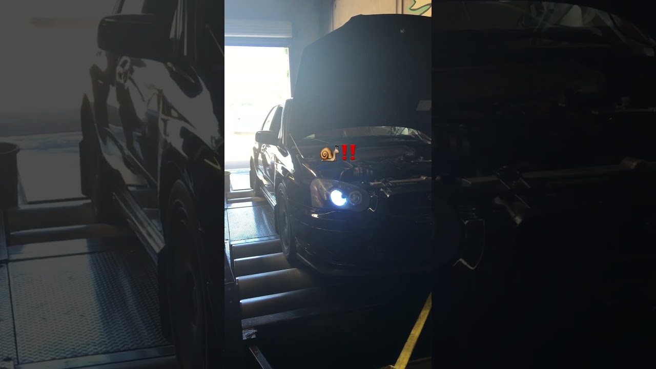 Twisted Motion 20G turbo