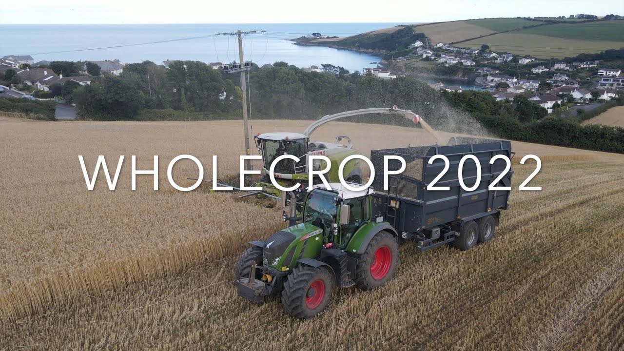 WHOLECROP BY THE SEA!