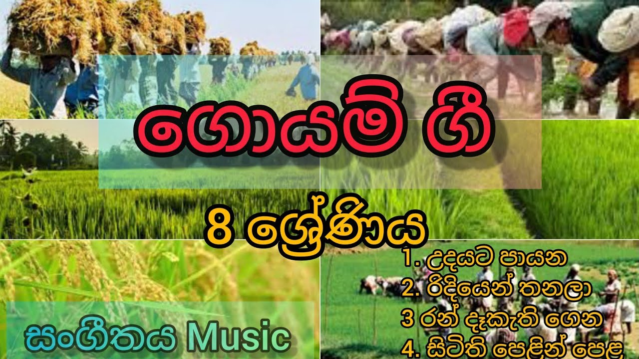 ගොයම් ගී | Goyam gee | 8 ශ්‍රේණිය | Grade 8  | සංගීතය | music උදයට පායන/රන් දෑකැති /රිදියෙන් තනලා