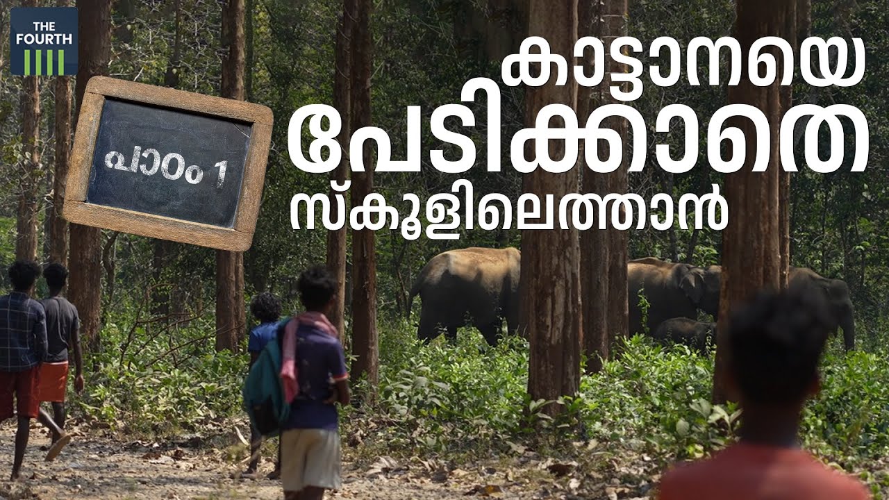 പാഠം ഒന്ന് - കാട്ടാനയെ പേടിക്കാതെ സ്‌കൂളിലെത്താന്‍ | Nilambur - Nedumkayam Tribal Colony