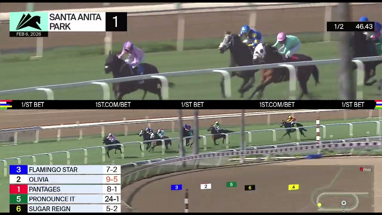 Olivia - Race Review 2/6