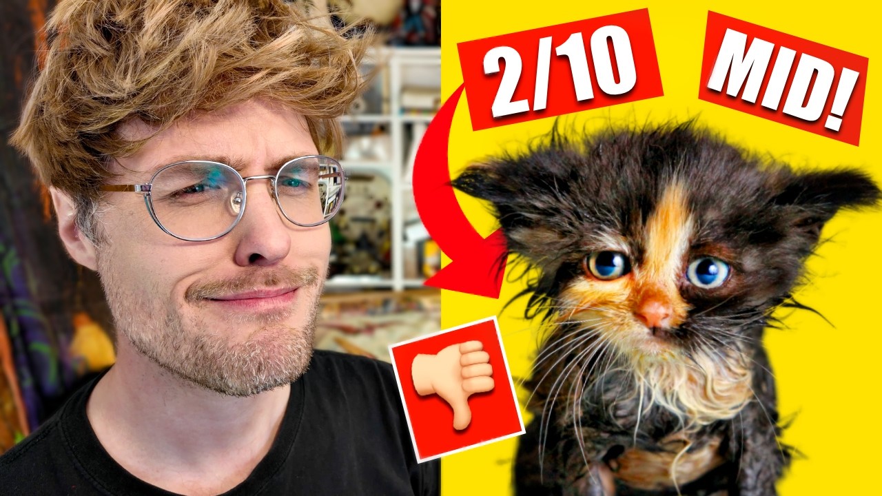I REVIEWED YOUR PETS *don&rsquo;t hate me*