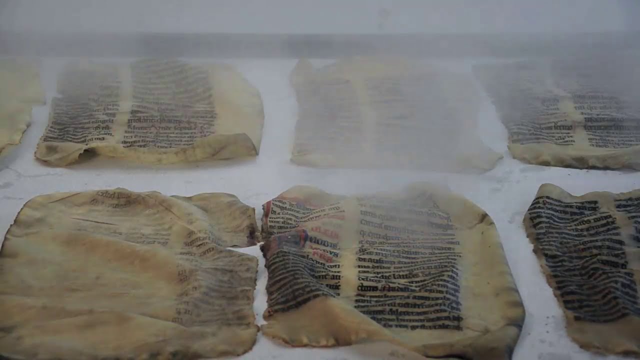 Renaissance des manuscrits médiévaux de Chartres | Numériser