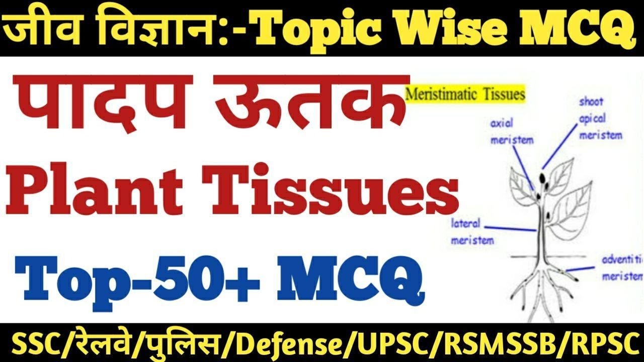 पादप ऊतक से सम्बंधित महत्वपूर्ण प्रश्न उतर | MCQ on Plant Tissues | SCIENCE GK in Hindi-SSC,RAILWAY