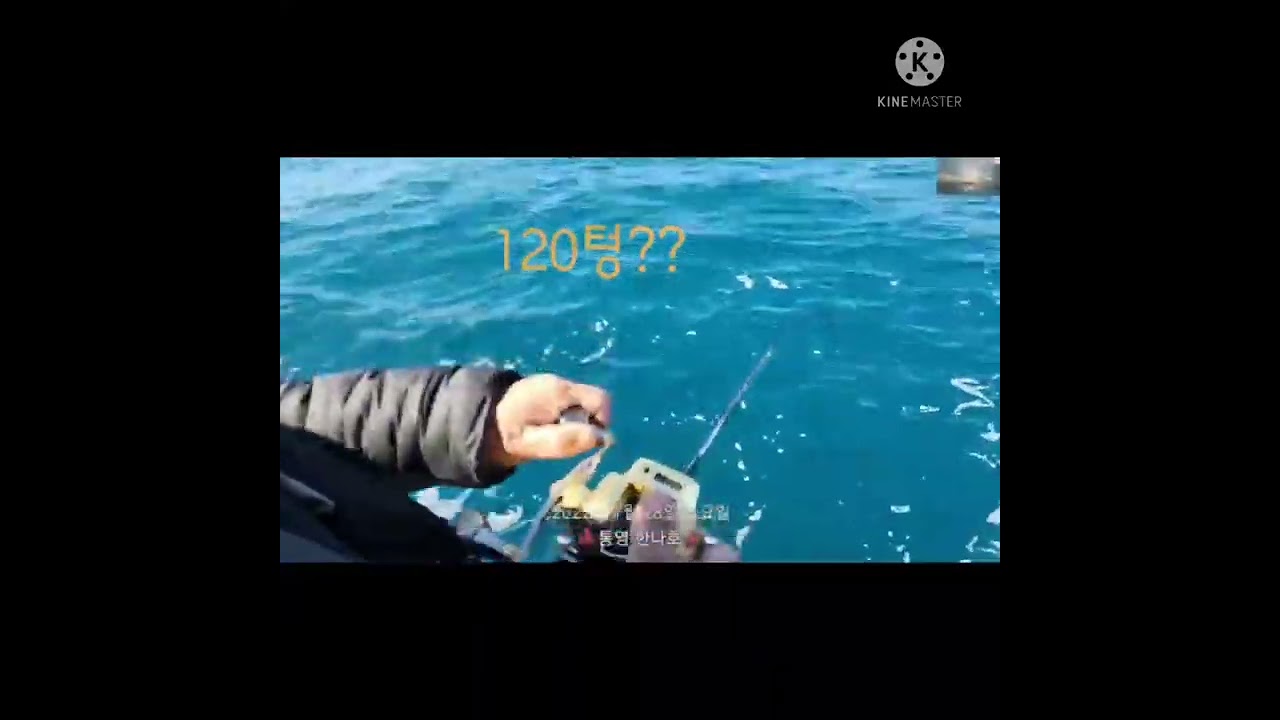 참돔타이라바 손대권 히트영상