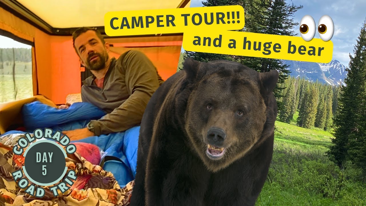 This Bear Was WAY TOO BIG 😳 + Camper Tour (Mess and All) 🚨 (CO Road Trip – Day 5)